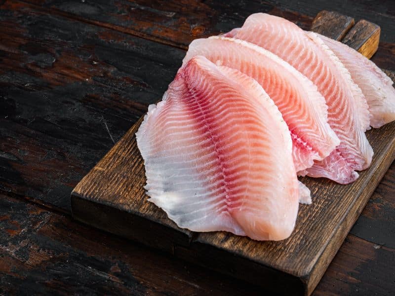 סוגי דגים לבנים – כל מה שרציתם לדעת על דגים לבנים בישראל